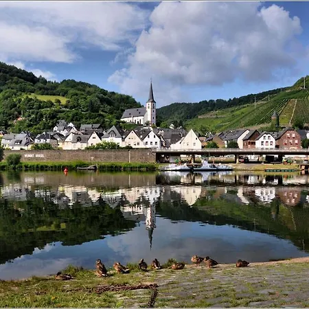 Гостевой дом Weingut-gaestehaus Karl Otto Nalbach Бридель
