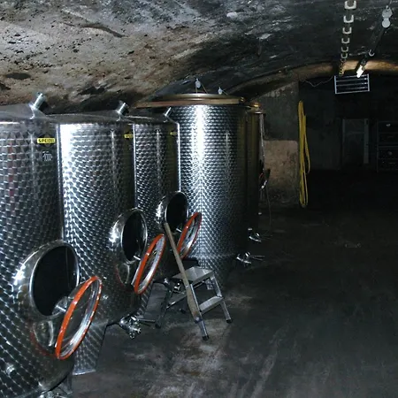 Weingut-gaestehaus Karl Otto Nalbach Гостевой дом 3*