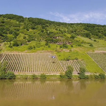 Гостевой дом Weingut-gaestehaus Karl Otto Nalbach 3*