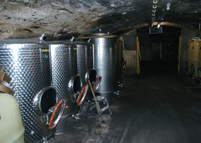 Weingut-gaestehaus Karl Otto Nalbach 게스트하우스 3*