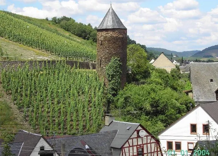 게스트하우스 Weingut-gaestehaus Karl Otto Nalbach 브리에델