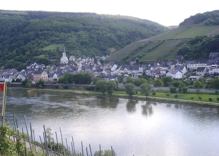 Weingut-gaestehaus Karl Otto Nalbach 브리에델