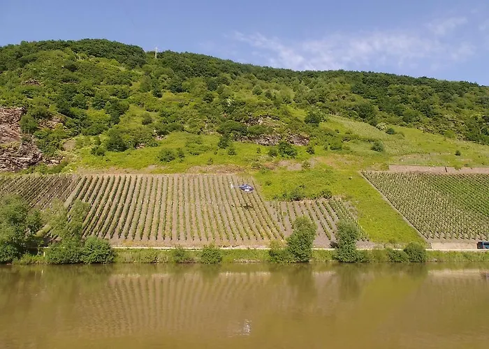 Gasthuis Weingut-gaestehaus Karl Otto Nalbach 3*