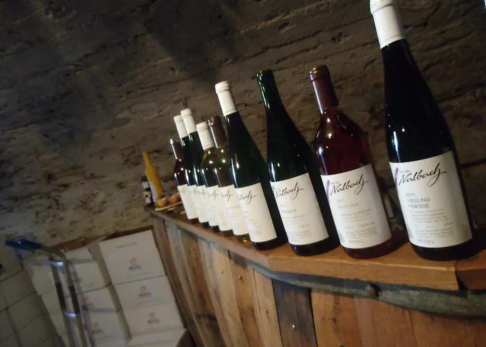 Weingut-gaestehaus Karl Otto Nalbach 3* 브리에델